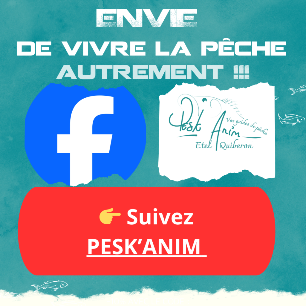 facebook peskanim-etel guide de pêche etel