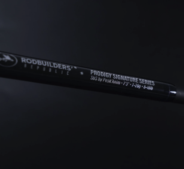 la canne du guide de pêche etel