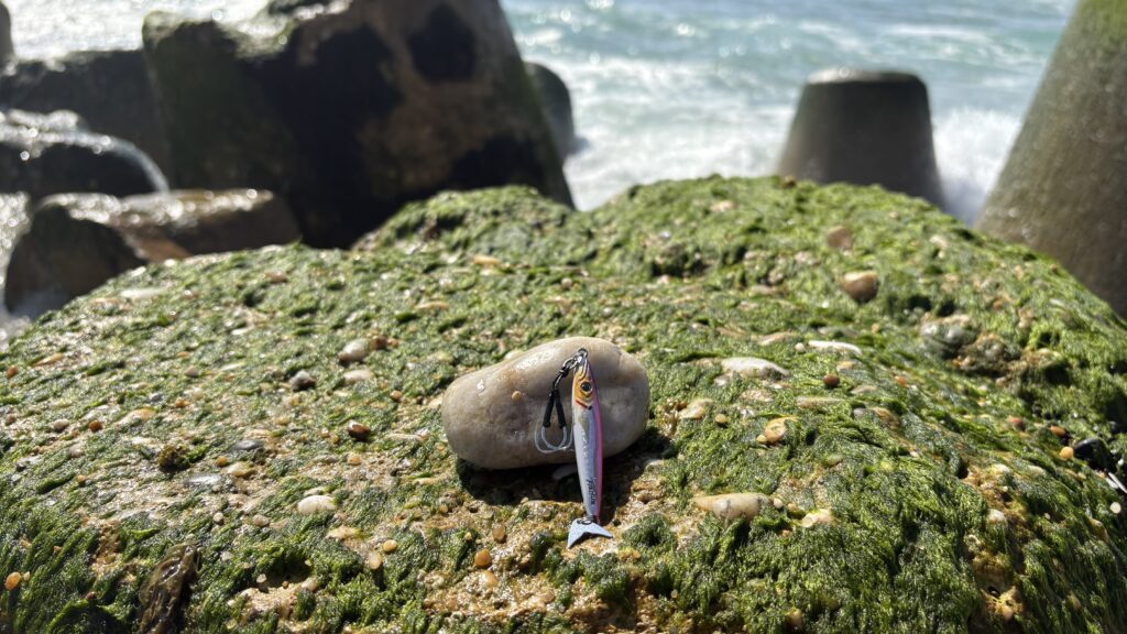 Espejig fishus Seabass Lure Shop