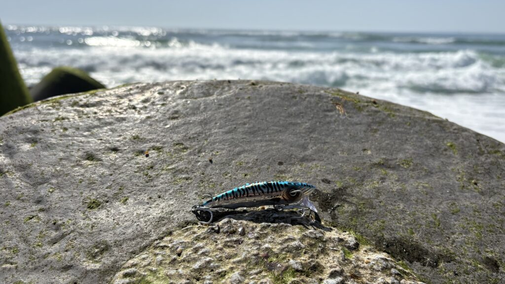 Fishus Espetit Heavy Seabass Lure Shop