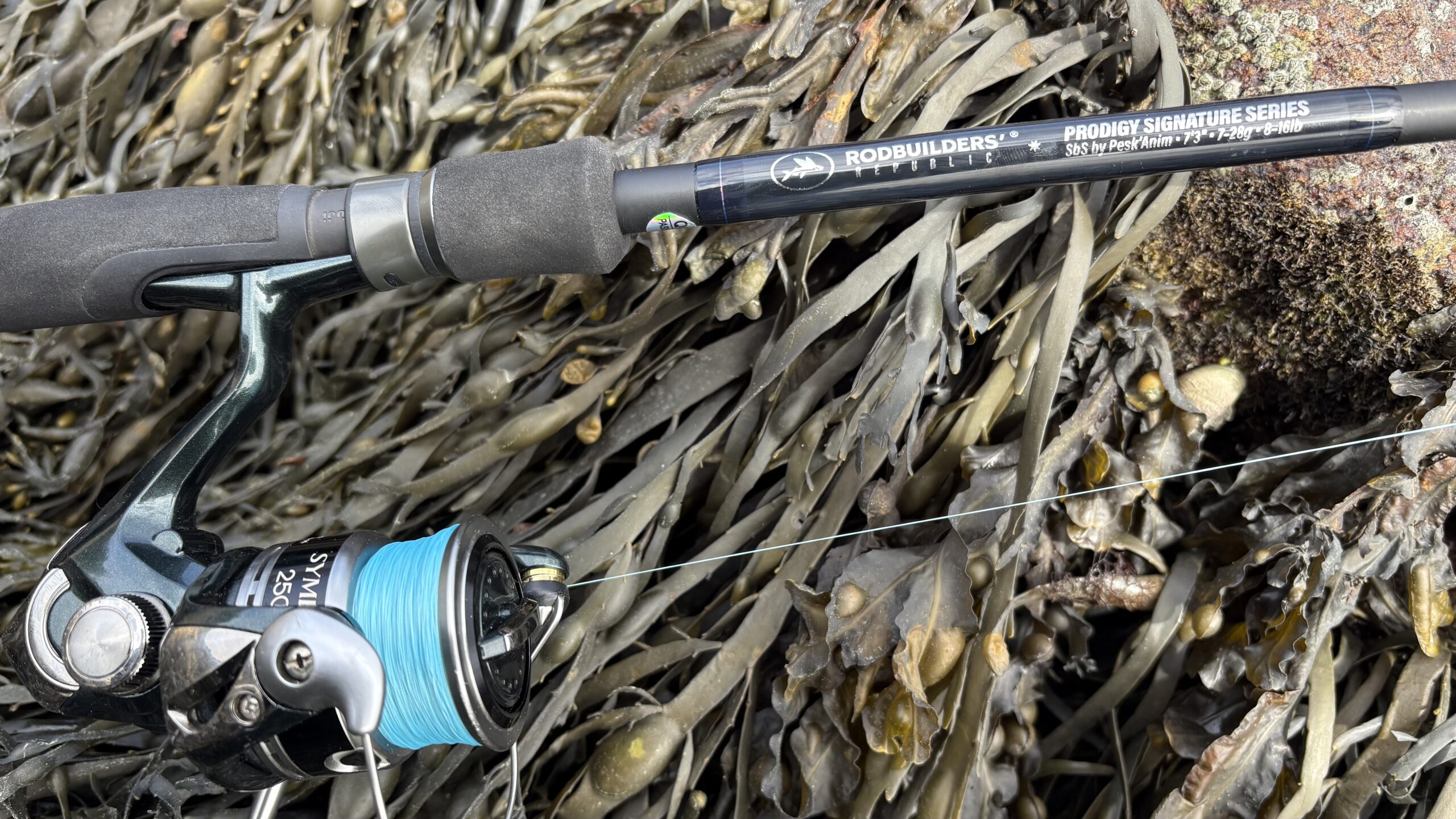 Seabass strike Peskanim-etel