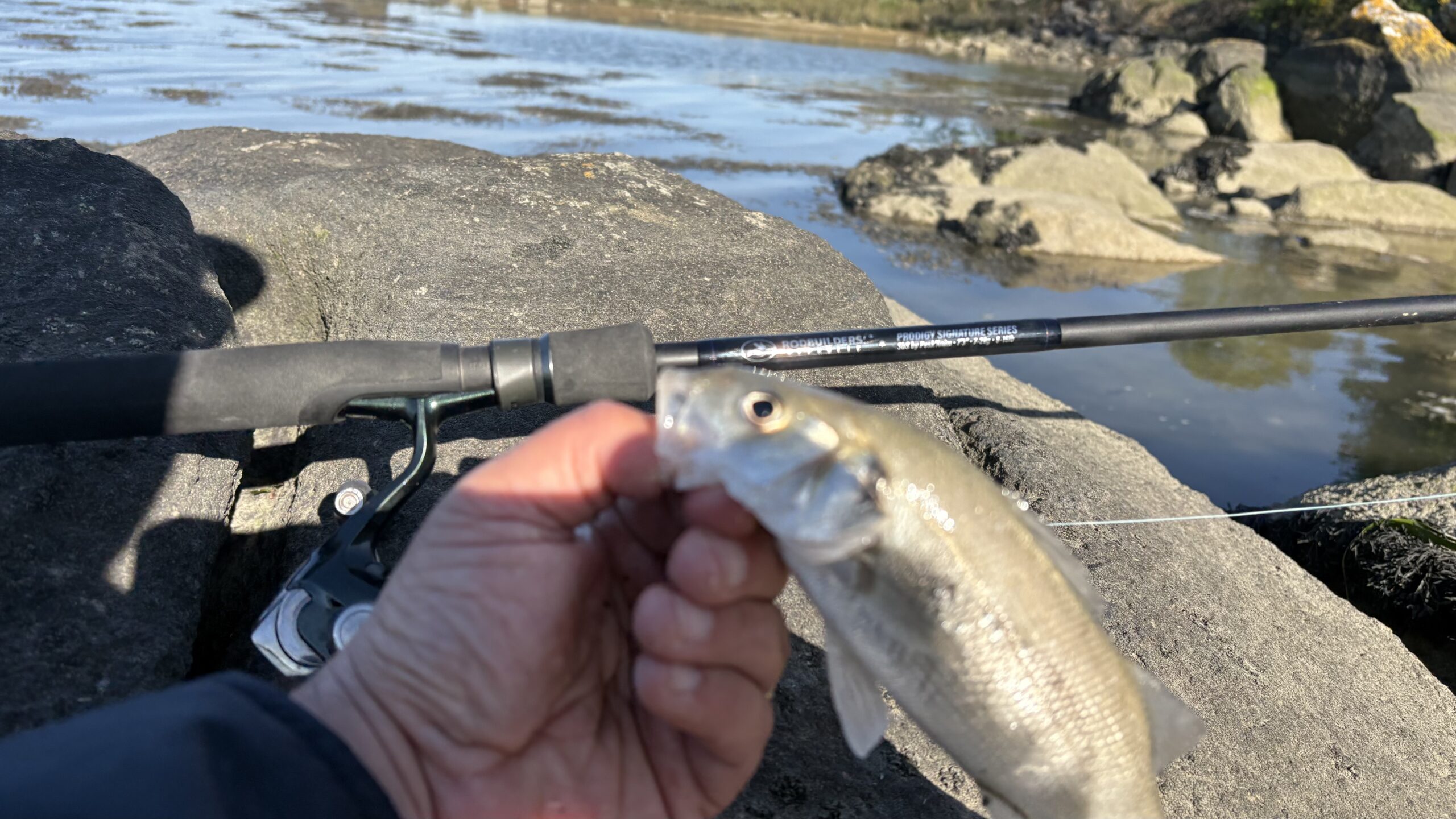 bar pris par un stagiaire