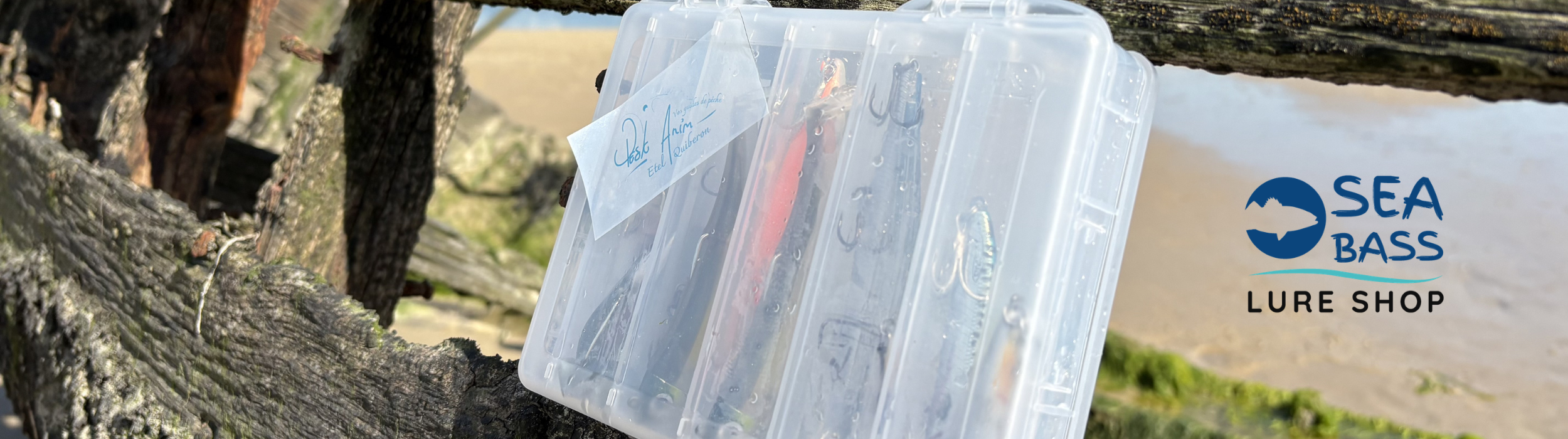 box peskanim-etel Seabass Lure Shop