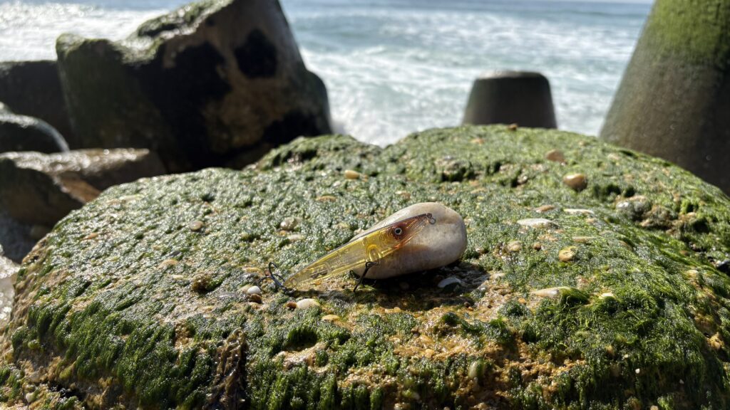 fishus Espetit Seabass Lure Shop