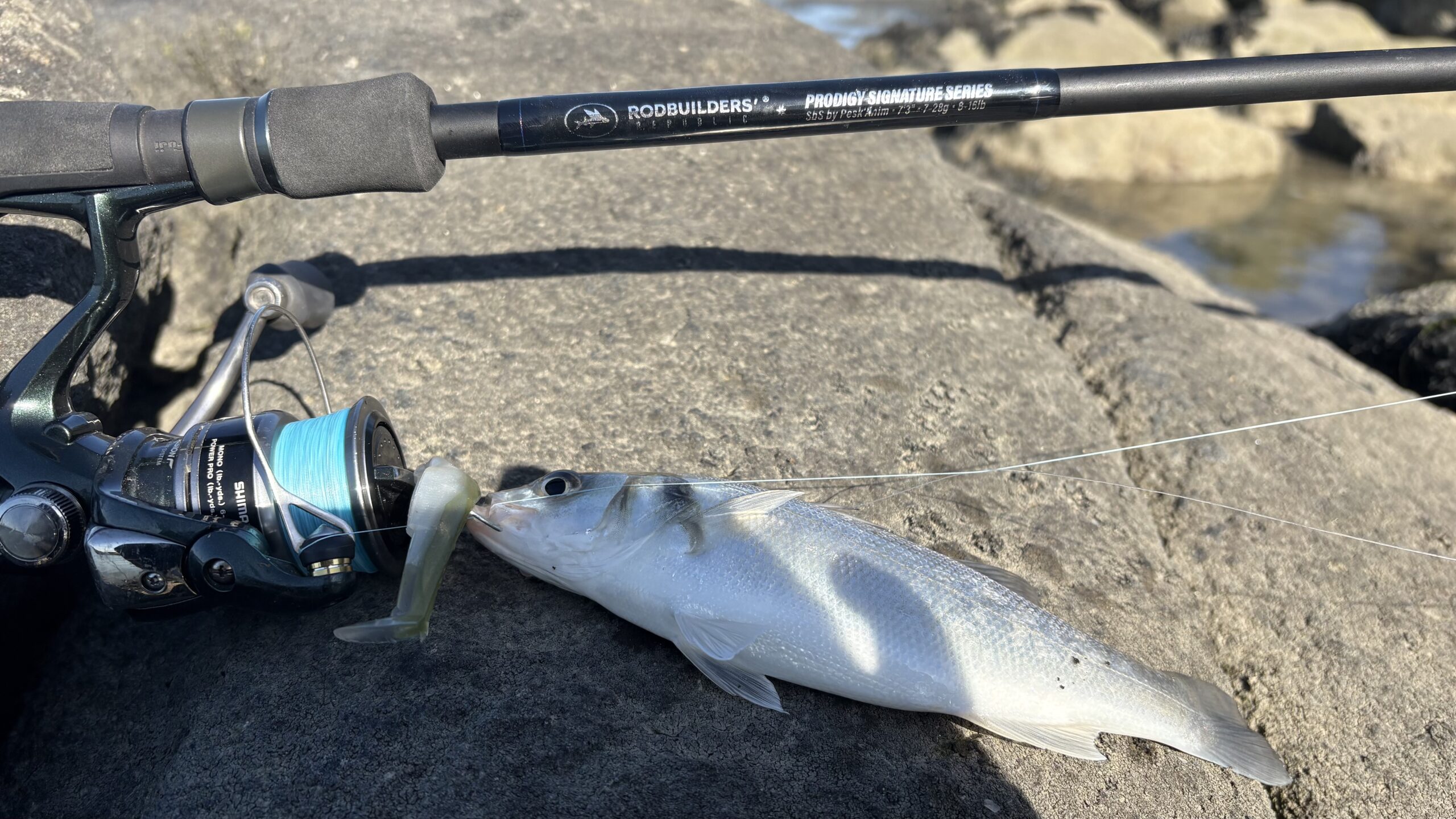 la SBS en action avec peskanim-etel