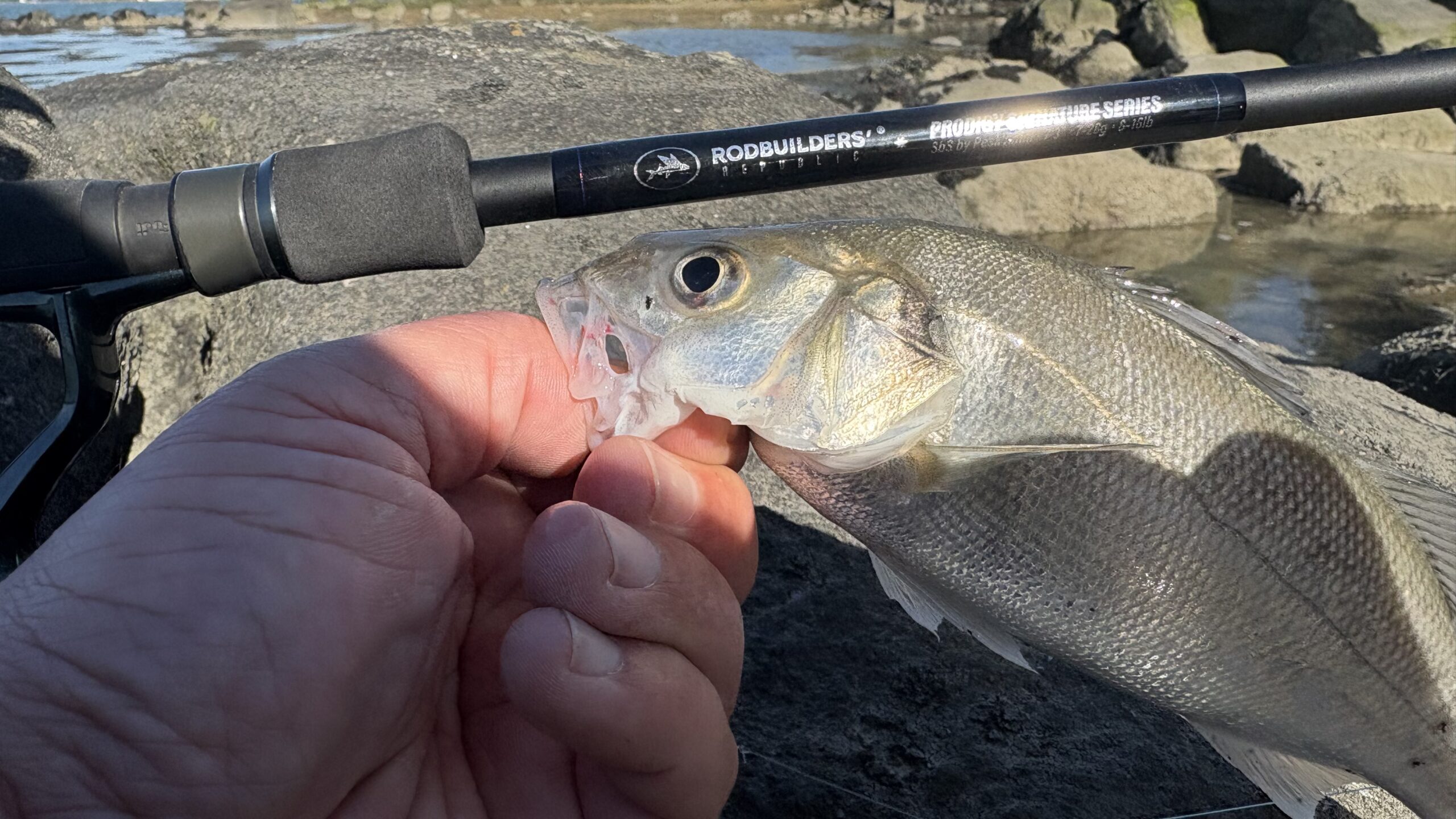 un petit bar de la ria d'etel
